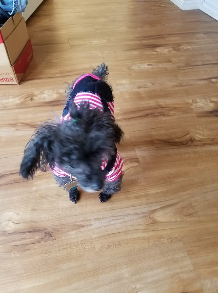 Readers pet photos